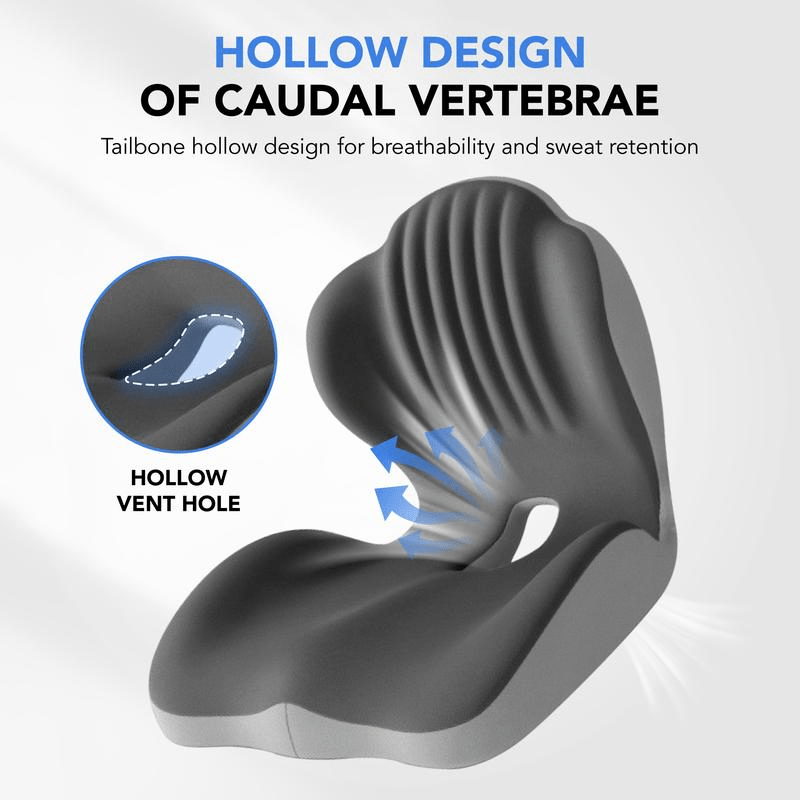 seat cushion, hollow design, caudal vertebrae, coccyx support, breathable cushion, sitting comfort, ergonomic seat, back pain relief, office cushion, car seat cushion, Australia